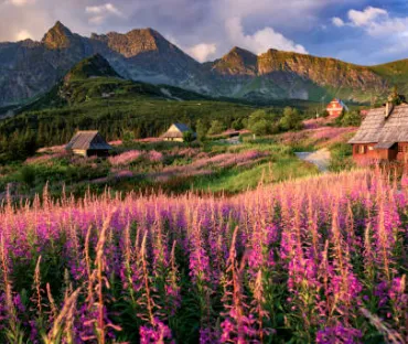 Podhalanskie szponcenie